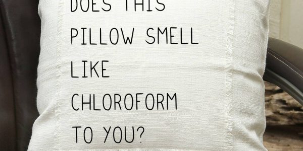 Does This Pillow Smell Like Chloroform To You? / (Ms Natural) Pillow Cover
